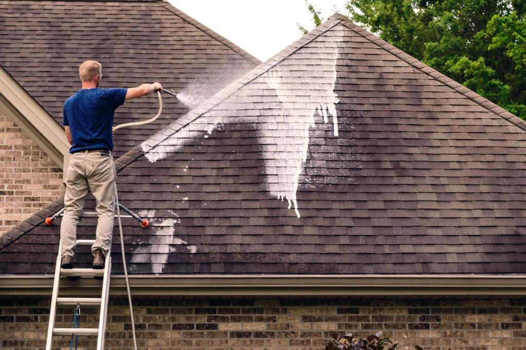 Roof cleaning and treatment in Halifax HRM