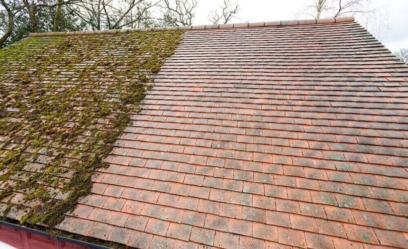 Roof washing service